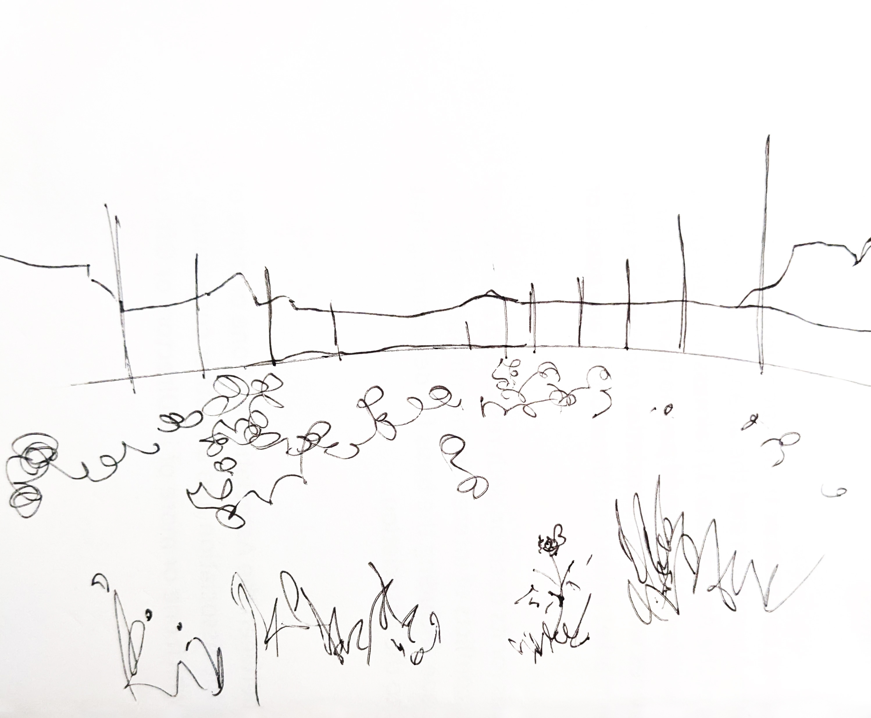 Field Sketch 2
